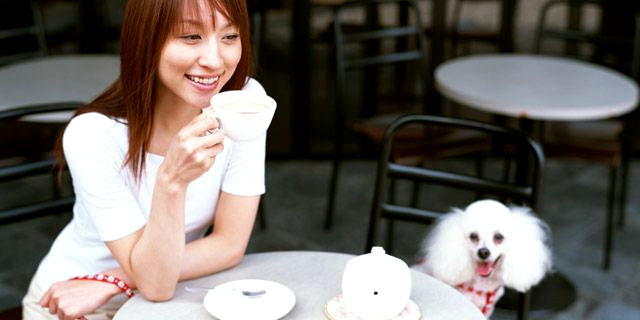 ファッションブランドのセール時期